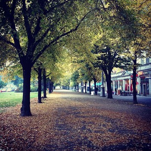 File under "Herbstliche Allee". #herbst #autumn